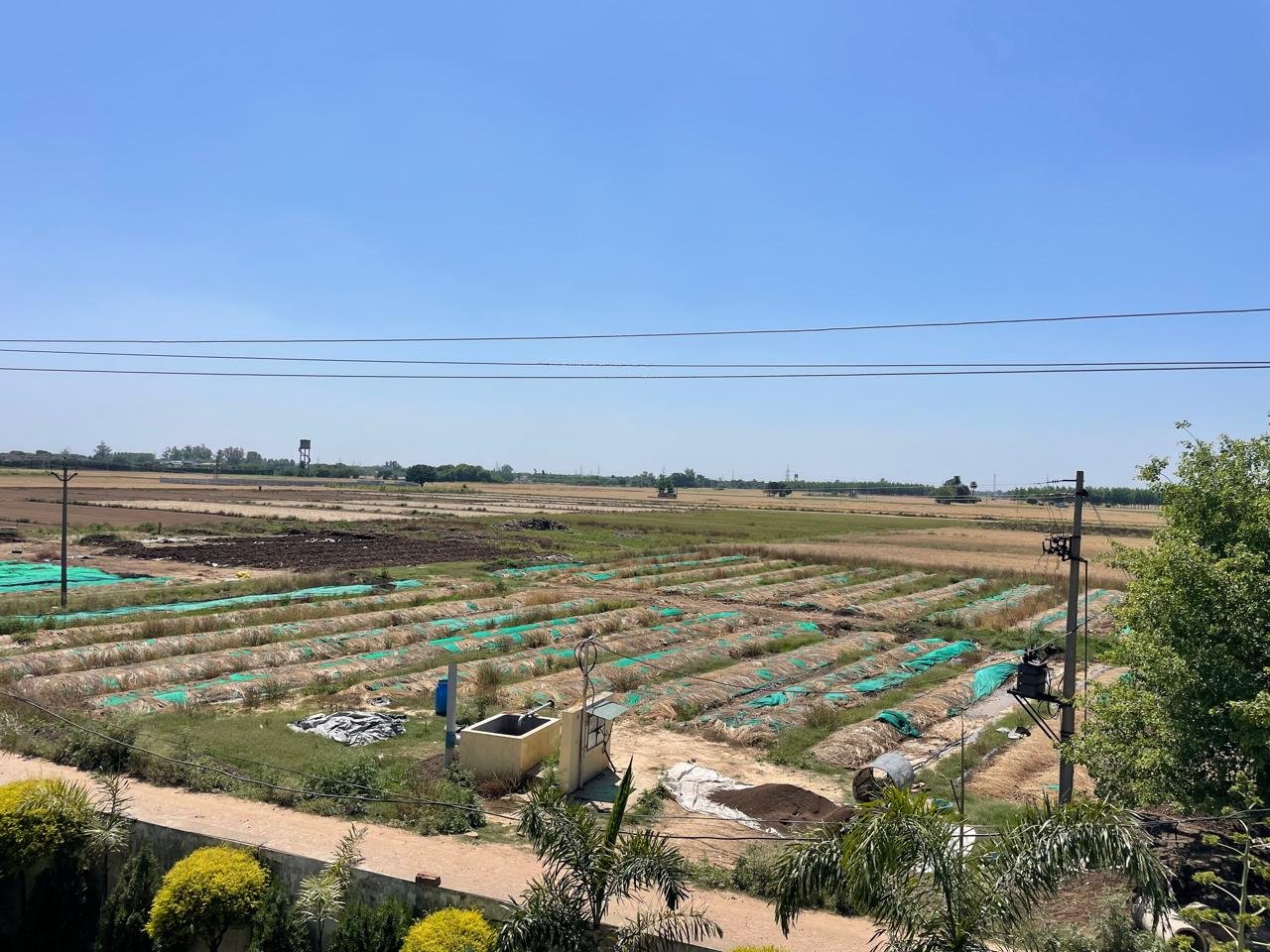 Packed organic turmeric powder pouches standing on grass